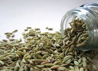 Hinojo como planta medicinal altamente recomendada Hinojo como planta medicinal altamente recomendada