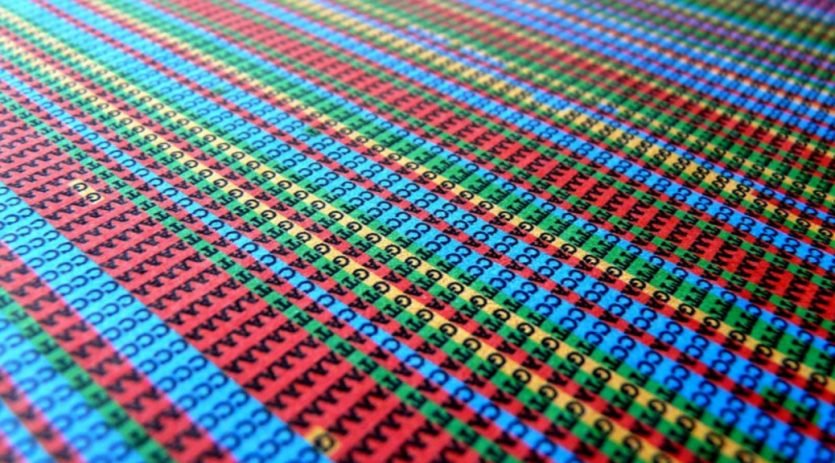 La Secuencia genómica en humanos