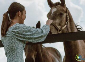sesiones de equinoterapia