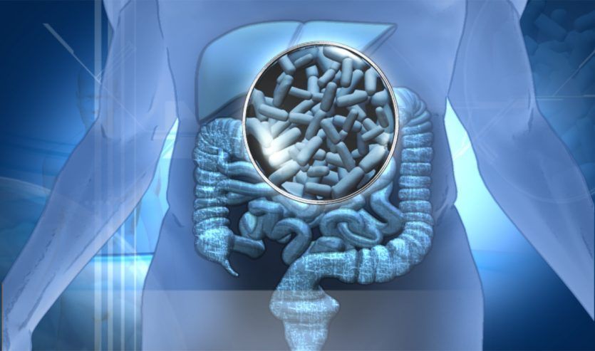 Los probioticos ayudan con el funcionamiento de la flora intestinal