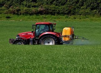 Altos niveles del insecticida DDT