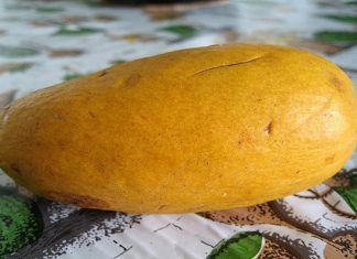 Buenas razones para consumir mango