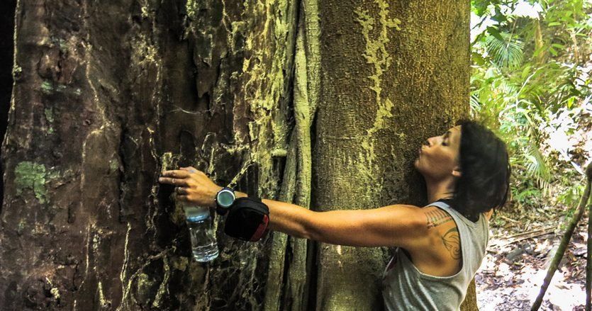 Ya es una practica habitual en algunos países el baño de bosque