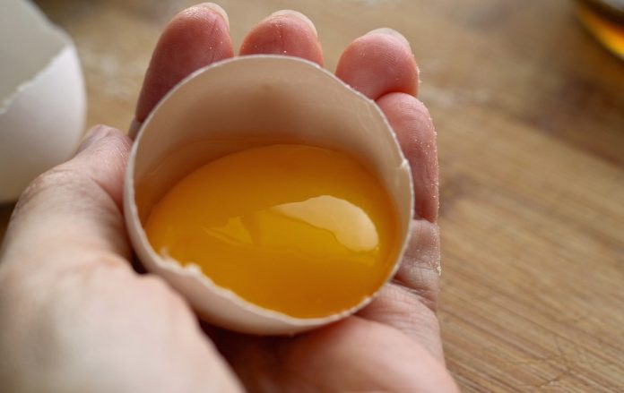 La yema de huevo y sus beneficios para el organismo