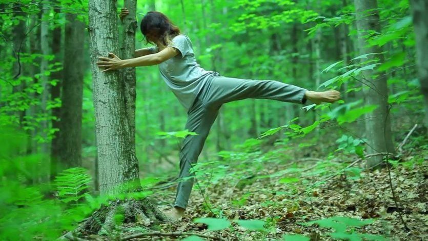 Este baño de bosque también es ideal para las actividades físicas