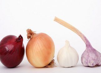 Antibioticos naturale