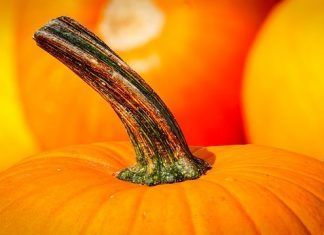 Exquisita crema de calabaza light, una combinación de sabores y nutrientes Exquisita crema de calabaza light