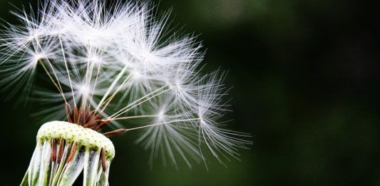 Investigadores trabajan