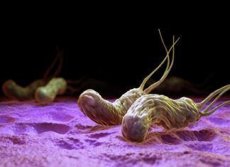 La helicobacter pylori: cuando la bacteria causa problemas en la infancia La helicobacter pylori