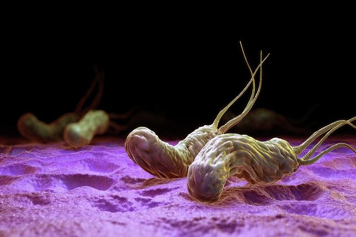 La helicobacter pylori