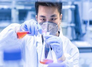 Nuevo tratamiento basado en silibinina para la metástasis cerebral Nuevo tratamiento basado en silibinina