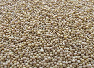 La congestión nasal, recetas naturales que eliminan la mucosidad La congestion nasal