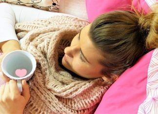 El virus de la gripe