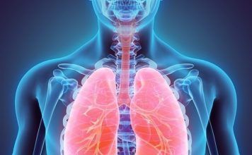 Cerdos podrían tener respuesta a trasplantes de pulmón pulmón