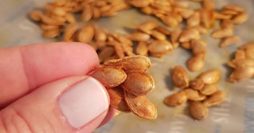 Cruda o tostada, conoce todos los beneficios de la semilla de auyama