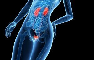 Infección Urinaria: Síntomas y  Remedios Caseros