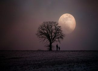 Palabras que pueden repercutir