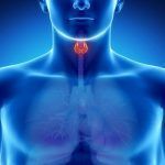 Problemas de tiroides