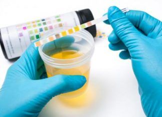 Infección Urinaria: Síntomas y Remedios Caseros Infección Urinaria: Síntomas y Remedios Caseros