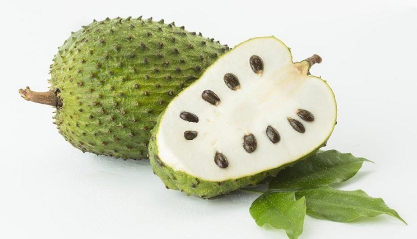 La pulpa de la guanábana está constituida especialmente por agua