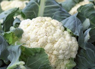 Pan de coliflor y ajo: excelente sustituto del pan tradicional Pan de coliflor y ajo