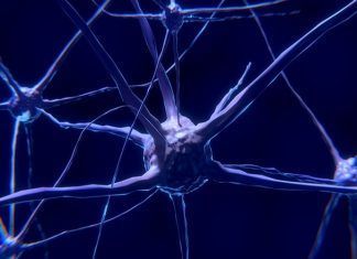 Epilepsia