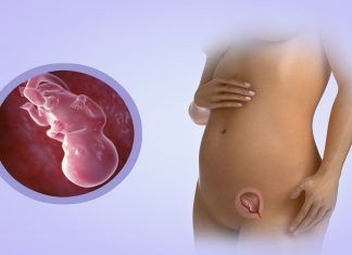 tercer mes de embarazo