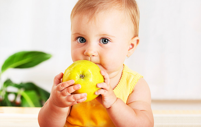 10 Opciones de comida saludable para bebes