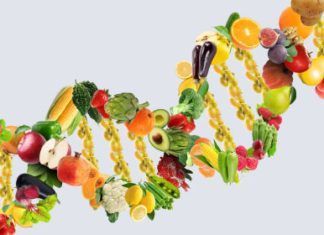 ¿Sabes si los alimentos que ingieres son los adecuados? los alimentos que ingieres son los adecuados