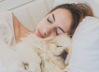 Beneficios de dormir con tu perro Beneficios de dormir con tu perro