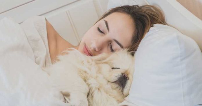 Beneficios de dormir con tu perro