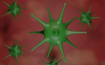 virus coronavirus sanidad