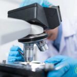 mutaciones del coronavirus