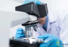 Las variantes del SARS-CoV-2 más peligrosas que recorren el mundo mutaciones del coronavirus