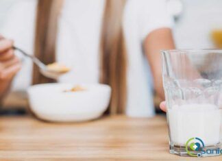 ¿Por qué deberías tomar leche ecológica en lugar de la convencional? beneficios para la salud de la leche ecológica