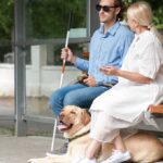 beneficios de la terapia asistida con animales