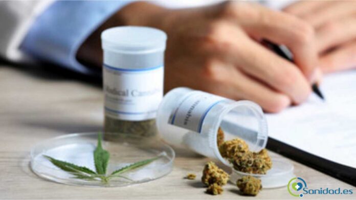 mitos y realidades del cannabis medicinal