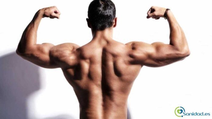 nuevas masculinidades igualdad de género nuevas masculinidades igualdad de género