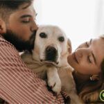 parejas prefieren tener mascotas que hijos