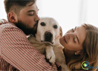 5 razones por las que cada día más parejas prefieren tener mascotas en lugar de hijos parejas prefieren tener mascotas que hijos