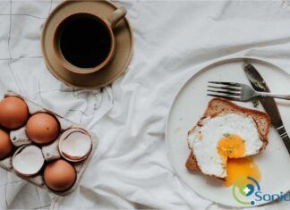 importancia de las proteínas