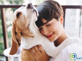 beneficios terapéuticos de tener mascotas