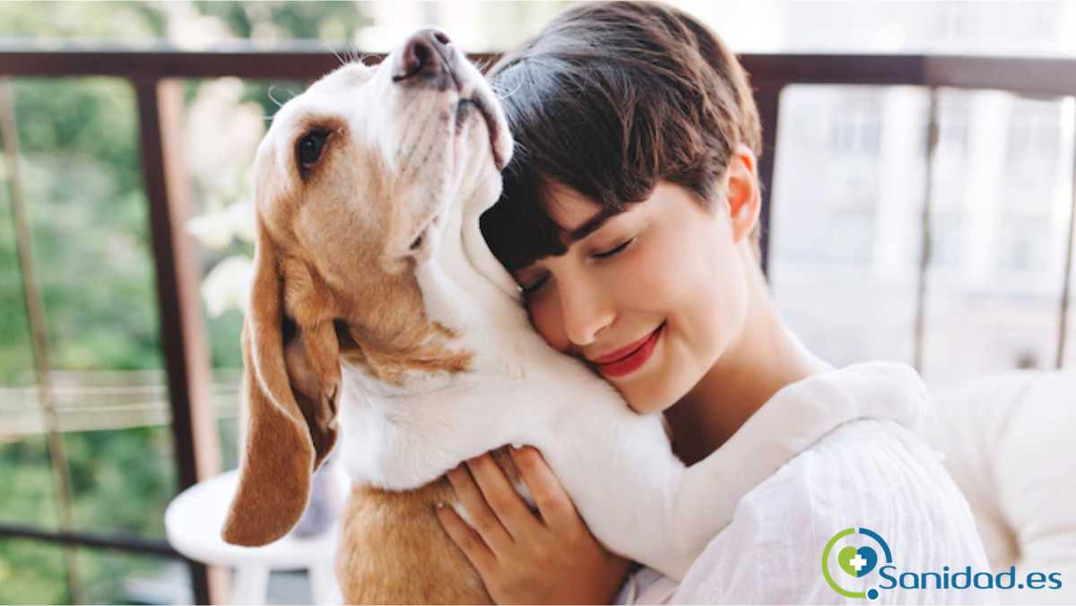 beneficios terapéuticos de tener mascotas