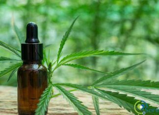 ¿Merece la pena consumir CBD medicinal? razones para usar aceite de CBD medicinal