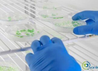 tipos de estufas de laboratorio