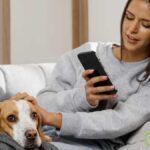 servicios online para mascotas