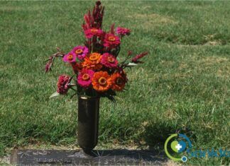 pérdida de un ser querido