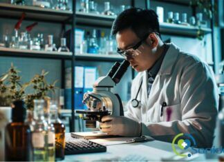 Descubriendo los beneficios del CBD para nuestro bienestar según la ciencia beneficios del CBD para la salud