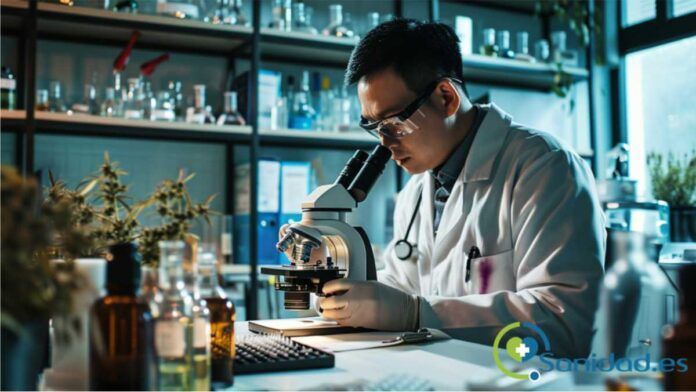 beneficios del CBD para la salud beneficios del CBD para la salud