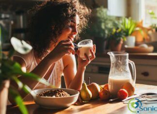 Beneficios de las Bebidas Vegetales: Nutrición, Salud y Sostenibilidad beneficios de las bebidas vegetales